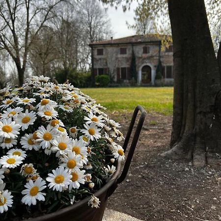 Agriturismo Corte San Girolamo Mantova Exterior foto