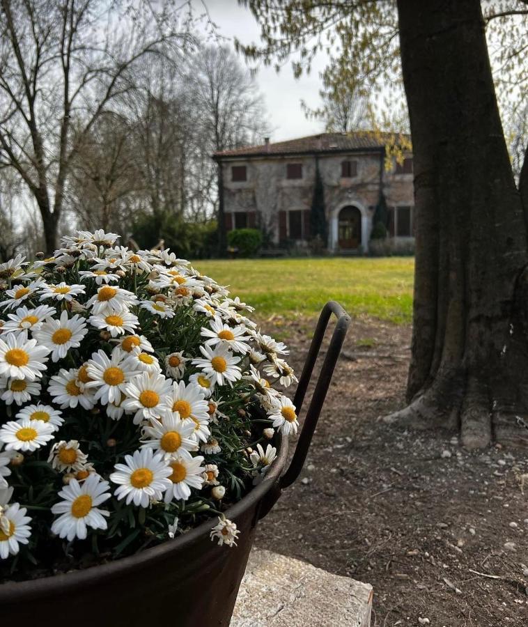 Agriturismo Corte San Girolamo Mantova Exterior foto