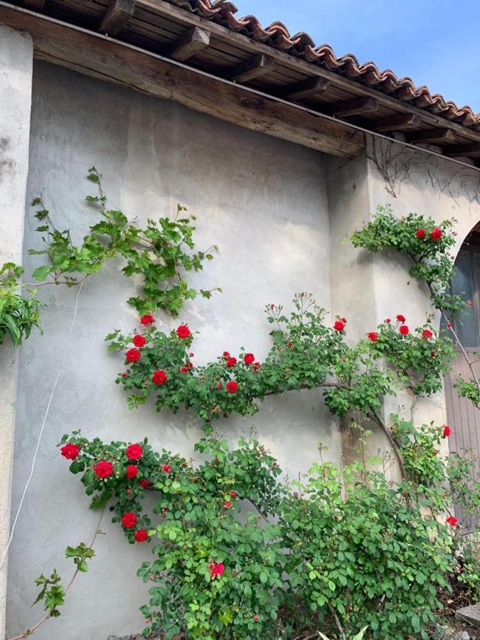 Agriturismo Corte San Girolamo Mantova Exterior foto
