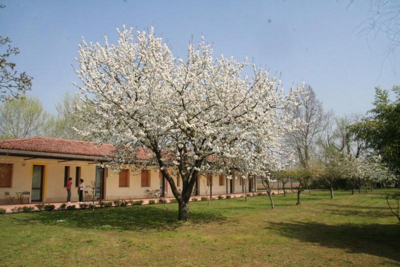 Agriturismo Corte San Girolamo Mantova Exterior foto