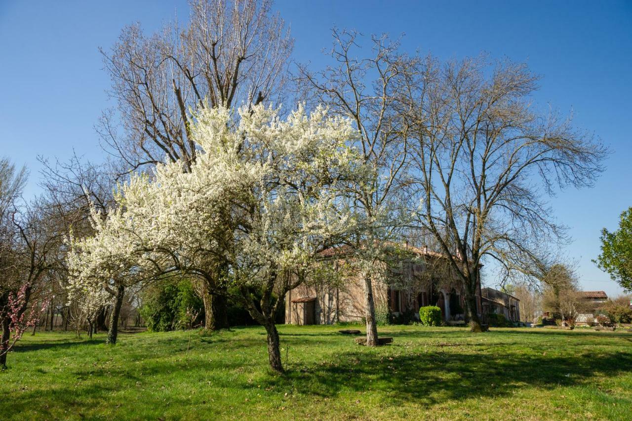Agriturismo Corte San Girolamo Mantova Exterior foto
